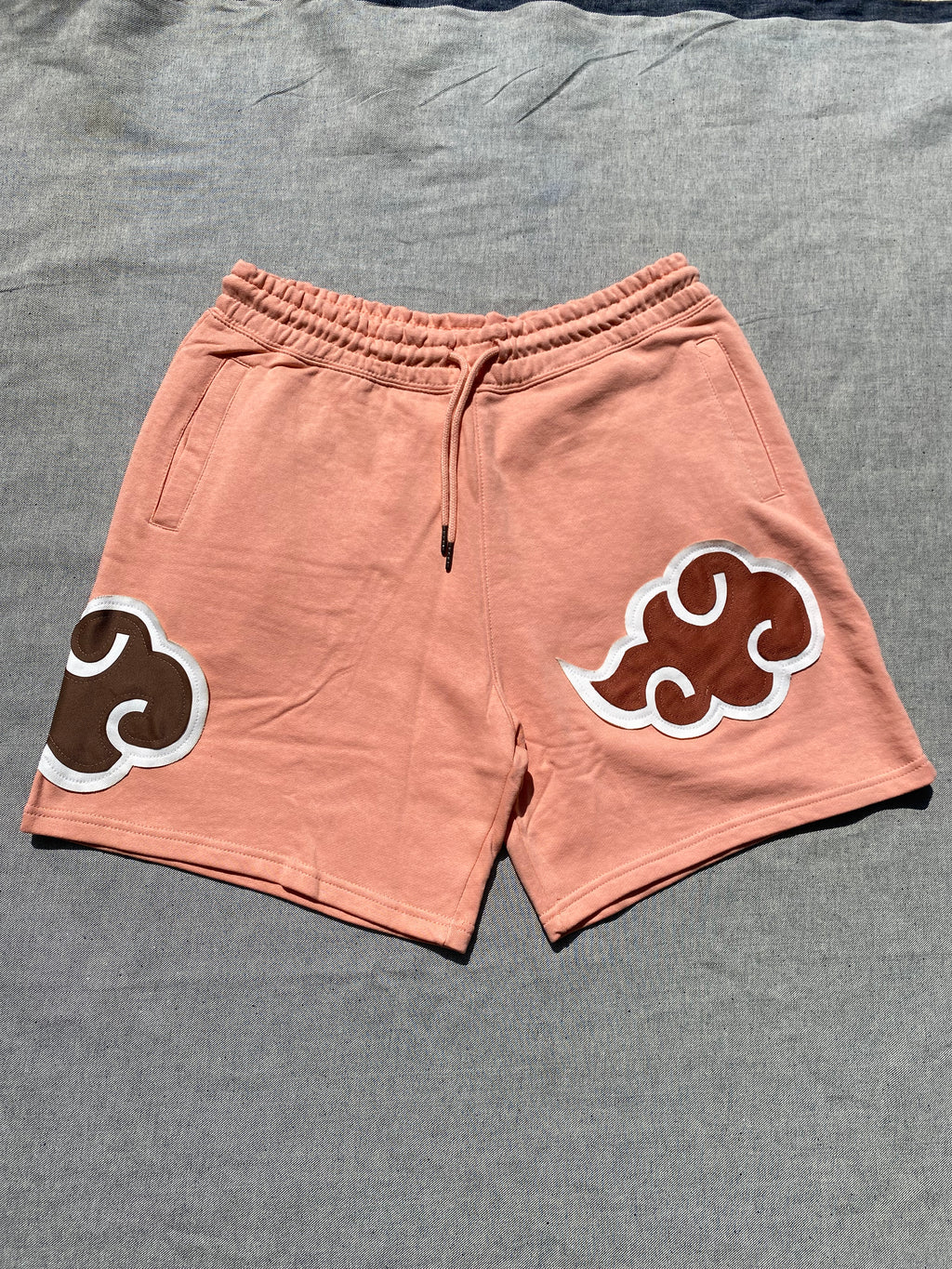 Stssy Cloud shorts