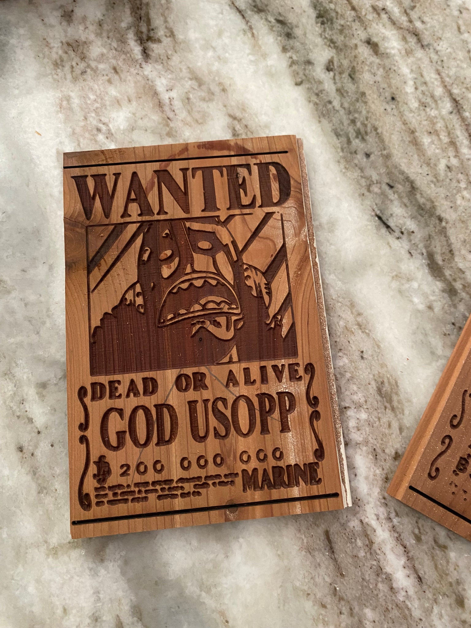 Wanted Coasters